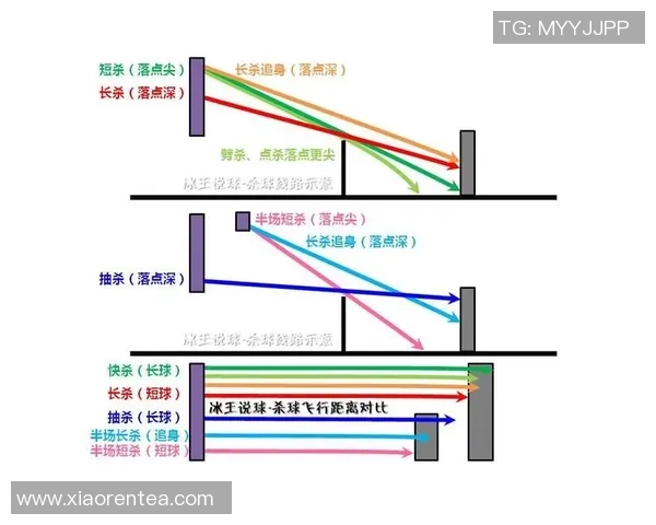 深圳羽毛球队战术表现深度分析与数据解读探索